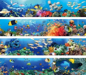 海底世界
