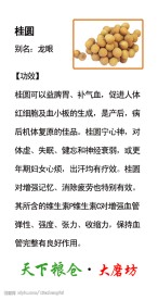桂圆