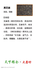 黑芝麻