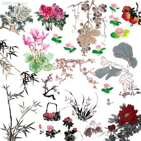 国画花组合