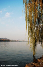 西湖风景