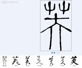 芙 书法字