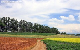 日本北海道
