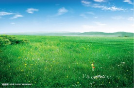 一望无际的草原风景