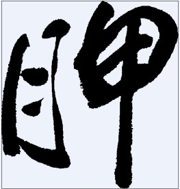 胛 书法字