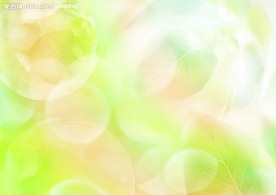 水 叶子 绿色 天空 水珠
