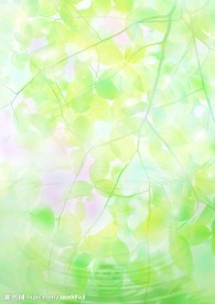 水 叶子 绿色 天空 水珠
