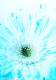 花 水滴 天 蓝色