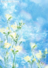 花 水滴 天 彩虹  草