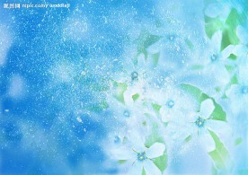 花 水滴 天   草