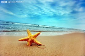 夏日海边沙滩风景