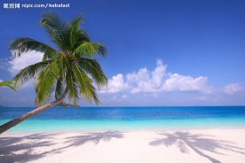 夏日海边沙滩风景