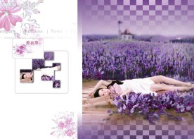 精品婚纱模板{女人花普罗旺斯}
