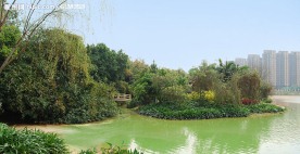 公园风景