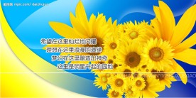 学校制度展板