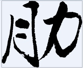 肋 书法字