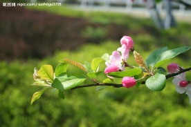 春暖花开