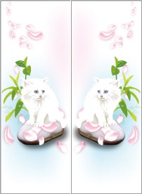 波斯猫