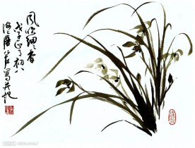 国画兰花