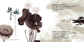 中国风系列之水乡生心境