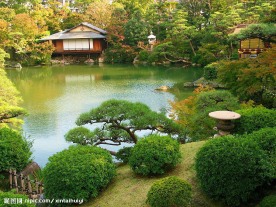 树林 河流 松树 草地 小桥 园林