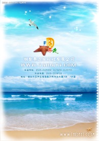 旅行社宣传页背面大海蓝天海星