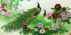 国画孔雀牡丹