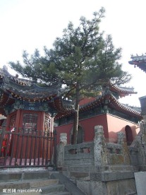 泰山景色