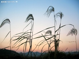 黄昏夕阳西下01
