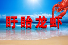 盱眙龙虾