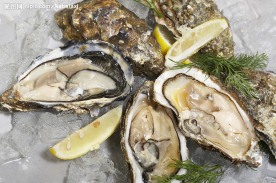 生蚝