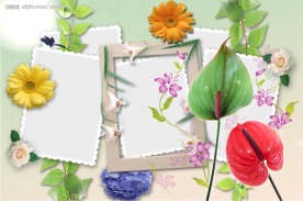 鲜花相框
