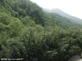 苍茫青山