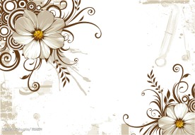 野菊花和时尚花纹