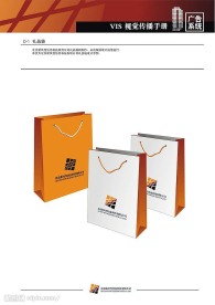 科技公司VI手册应用部分（广告系统）