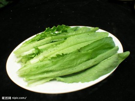 油麦菜