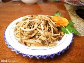 茶树菇