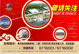 房地产彩页