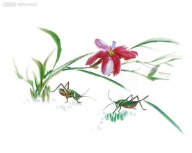 水墨蜥蟀
