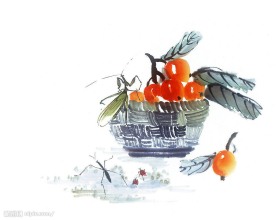 昆虫世界