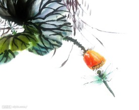 蜻蜓