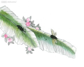 水墨蝉