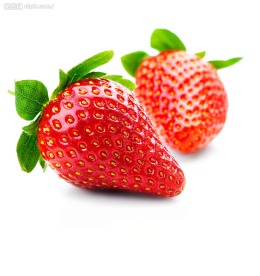 草莓