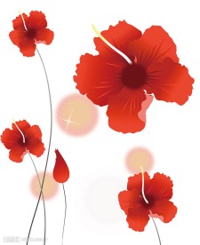 背景花2（高清晰图）