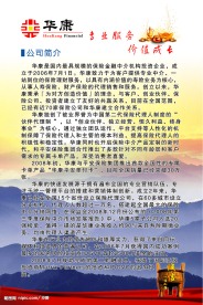 保险公司展板  华康  公司简介