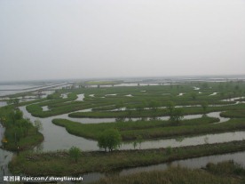 大纵湖景点芦荡迷宫