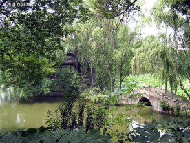 夏日风景
