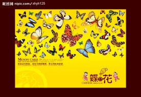 蝶恋花