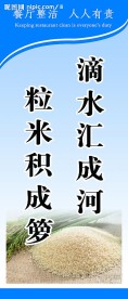 节约粮食宣传