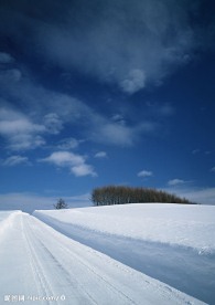 雪地